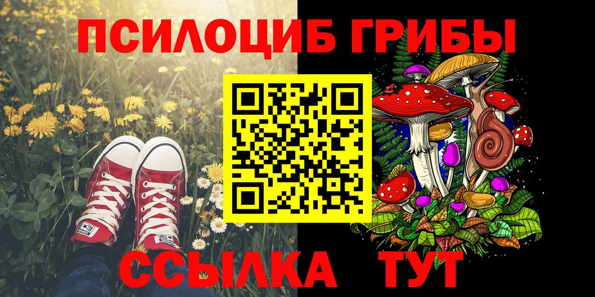 Галлюциногенные грибы GOLDEN TEACHER Солнечногорск