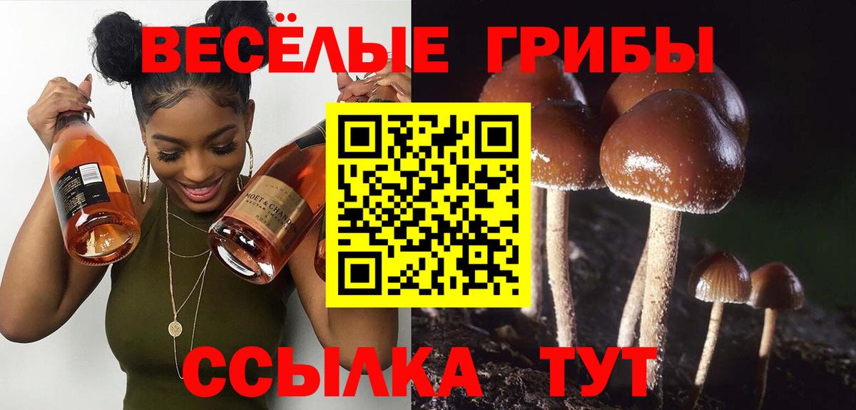наркота  Галлюциногенные грибы прущие грибы  Вход с VPN  Солнечногорск  Галлюциногенные грибы MAGIC MUSHROOMS 